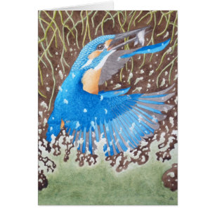 Der gemeine Eisvogel