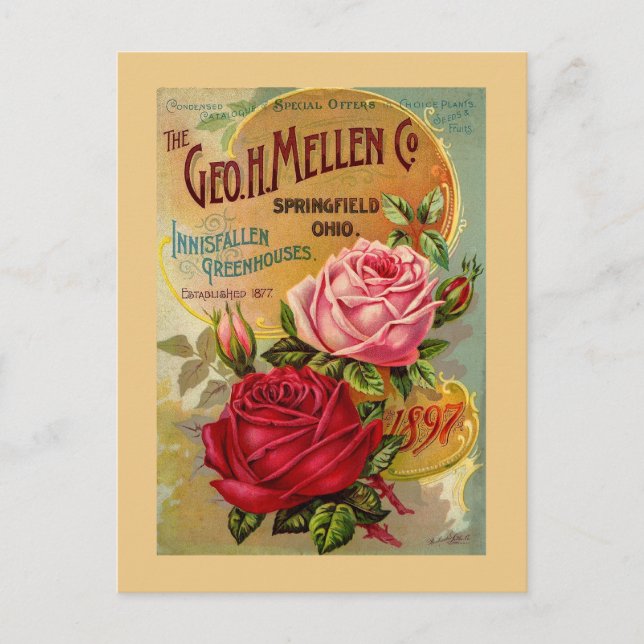 Der Geo. H. Mellen Co. Greenhouse-Werbung Postkarte (Vorderseite)