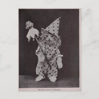 Der Gerichtshof von Tabbyland Postkarte