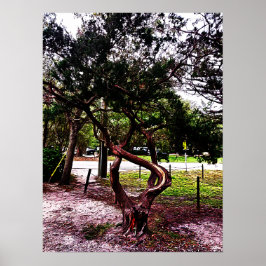 Der geschwungene Baum 1123 Poster