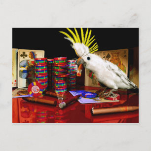 Der Gewinner Postkarte