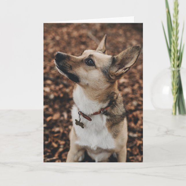 Der glückliche Valentinstag | Hundegesicht | Name  Dankeskarte (Vorderseite)