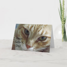 Der glückliche Vatertag von der Katze Karte