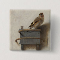 Der Goldfinch