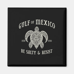 Der Golf von Mexiko ist salzig und hält sich auf 1 Magnet