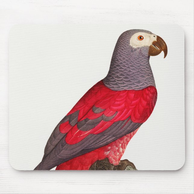 Der graue rote Papagei, Psittacus erithacus Mousepad (Vorne)