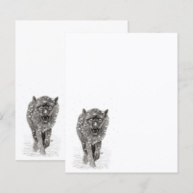 Der graue Schwarze Wolf im Schnee , der wilde Wint (Vorne/Hinten)