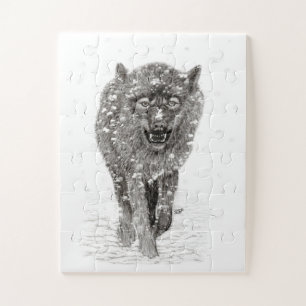 Der graue Schwarze Wolf im Schnee , der wilde Wint