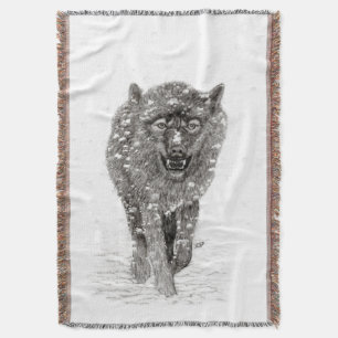 Der graue Schwarze Wolf im Schnee , der wilde Wint Decke