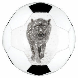 Der graue Schwarze Wolf im Schnee , der wilde Wint Fußball