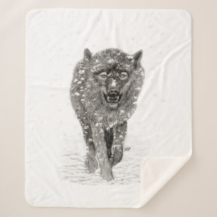 Der graue Schwarze Wolf im Schnee , der wilde Wint Sherpadecke