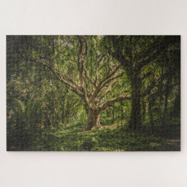 Der große alte Baum im Wald