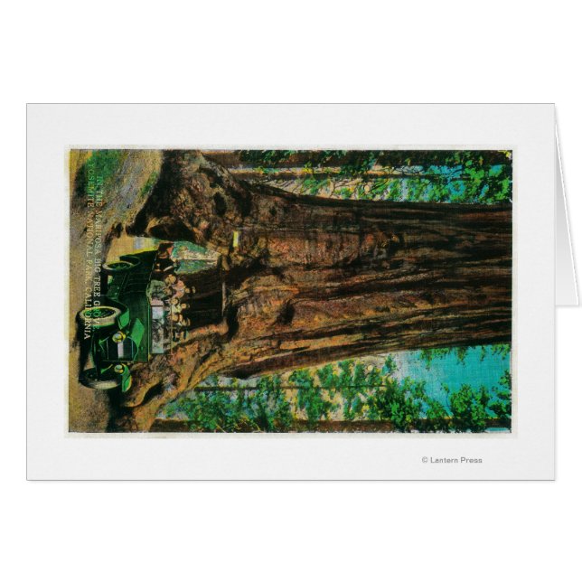 Der große Baumgarten Mariposa, Yosemite (Vorderseite (Horizontal))