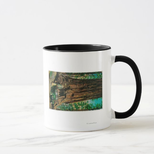 Der große Baumgarten Mariposa, Yosemite Tasse (Rechts)
