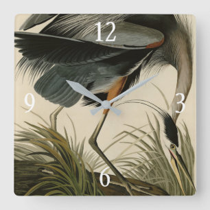 Der große Blaue Heron von Audubons Vögeln Amerikas Quadratische Wanduhr