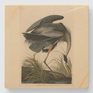 Der große Blaue Heron von Audubons Vögeln Amerikas Steinuntersetzer