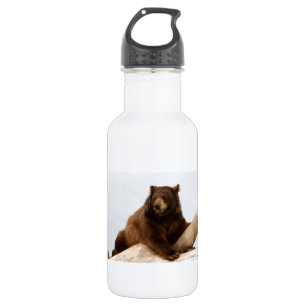 Der große braune Bär auf einem Rundgang Trinkflasche