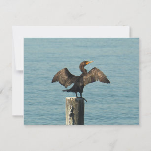 Der große Kormoran Postkarte