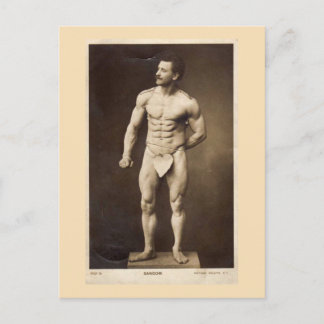 Der große Sandow Postkarte
