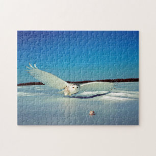 Der große Schnee-Eulen-Raubvogel