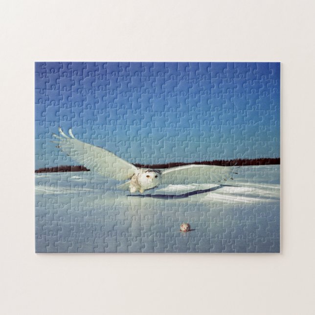 Der große Schnee-Eulen-Raubvogel (Horizontal)