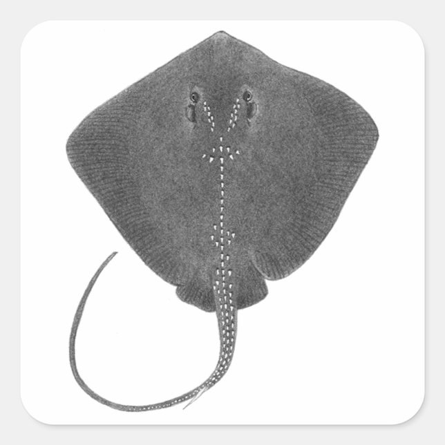 DER GROSSE SÜDEN QUADRATISCHER AUFKLEBER (Vorderseite)