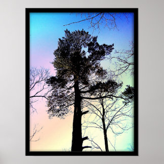 Der größte Baum Poster