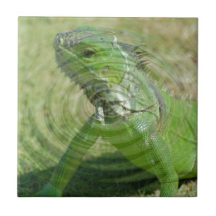 Der Grüne Leguan Fliese