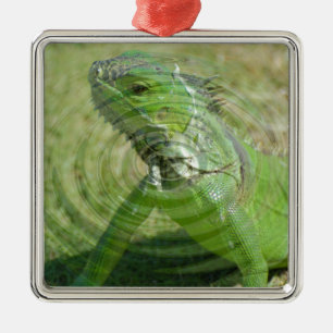 Der Grüne Leguan Silbernes Ornament