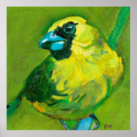 Der grüne Vogel mit dem blauen Schnabel