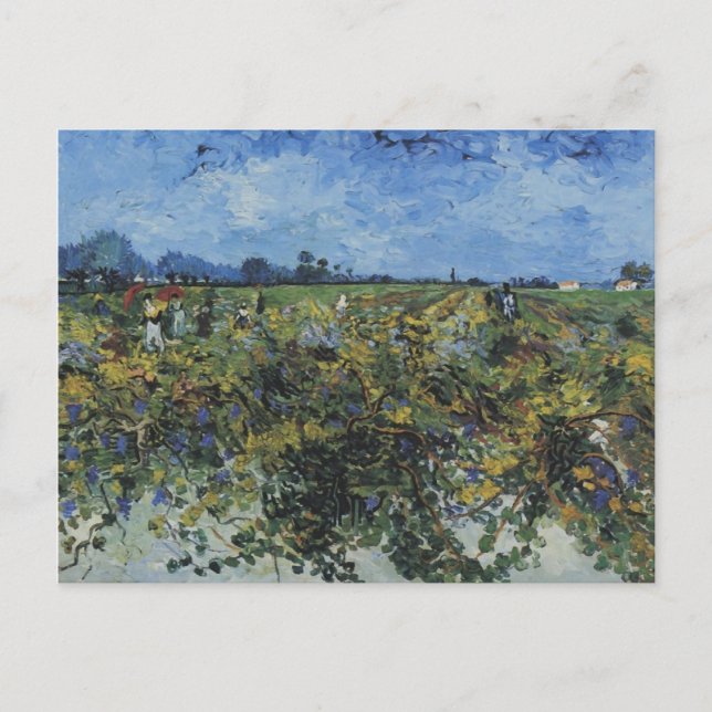 Der grüne Weinberg Vincent Van Gogh Postkarte (Vorderseite)