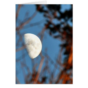 Der halbe Mond durch unfruchtbare Zweige