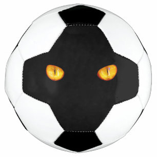 Der harte Blick auf die goldene Bombay-Katzenaugen Fußball