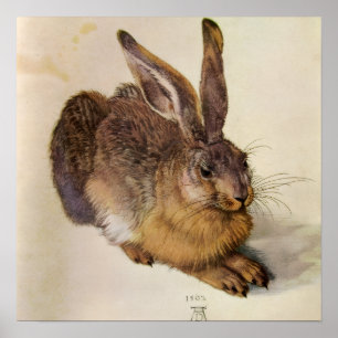 DER HASE ( Junger Hase ) Poster