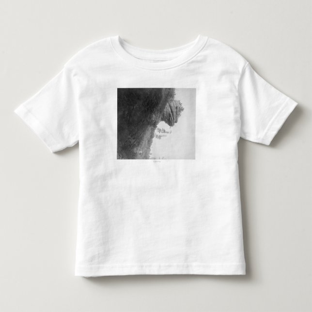 Der Hauptfelsen des Frosches auf Kleinkind T-shirt (Vorderseite)