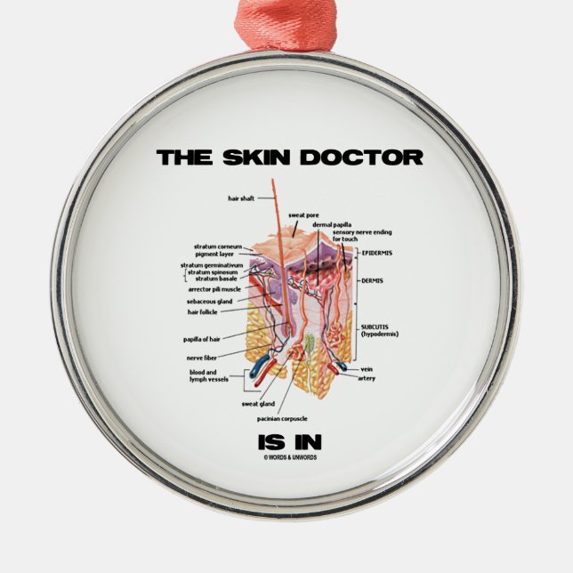 Der Haut-Doktor ist in (Anatomie-Dermatologie) Silbernes Ornament (Vorne)