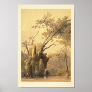 Der heilige Baum, Metereah Poster