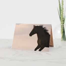 Der Hengst rennt bei Sonnenaufgang Wild Pferd Gruß Karte
