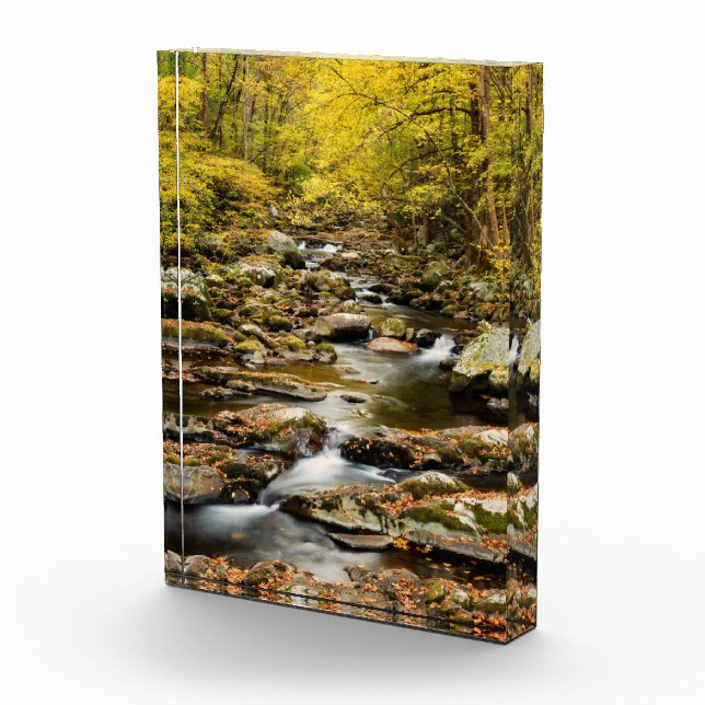 Der Herbst am Großen Bach Fotoblock (Rechts)