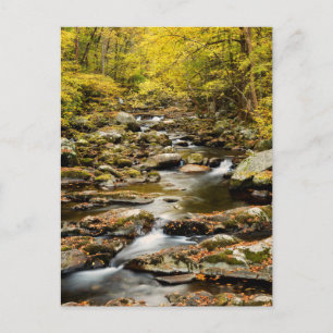 Der Herbst am Großen Bach Postkarte