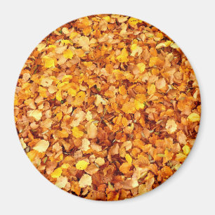 Der Herbst hinterlässt ein großes rundes Magnet