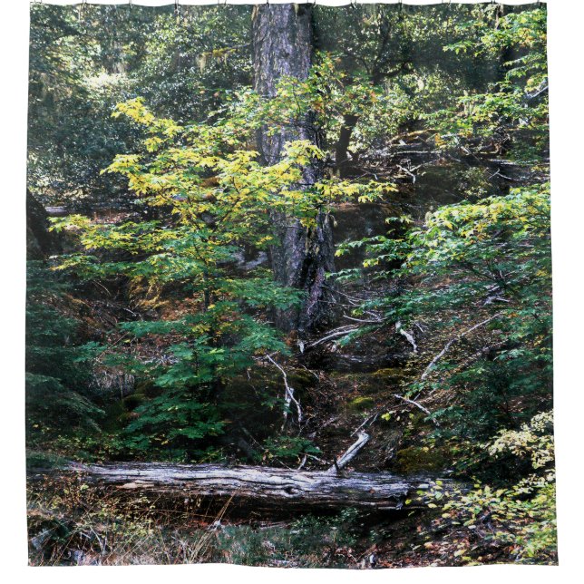 Der Herbst ist hier...... Duschvorhang (Vorderseite)