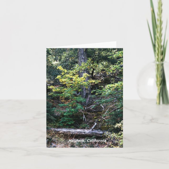 Der Herbst ist hier....... Karte (Vorderseite)