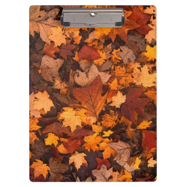 der Herbst Klemmbrett (Vorderseite)