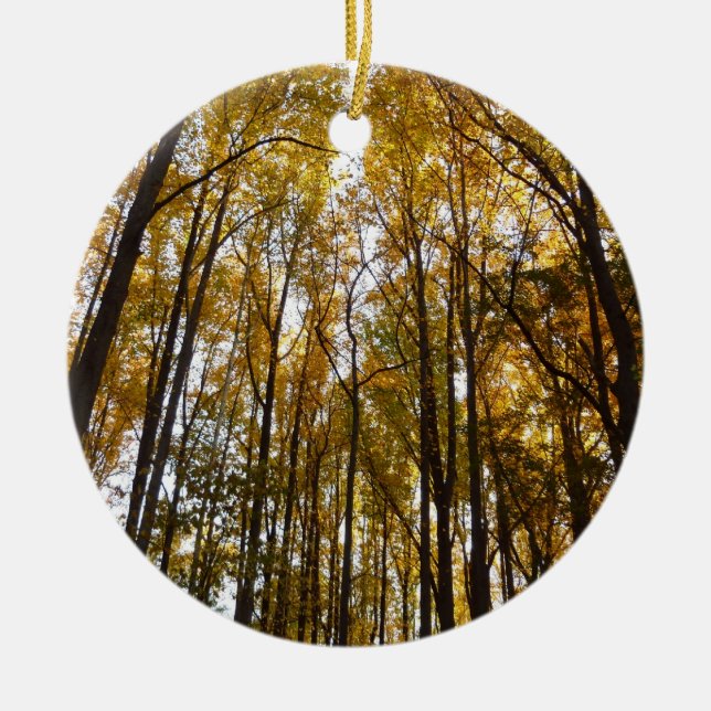 Der Herbst verlässt die Natur am Morgen Keramik Ornament (Vorne)