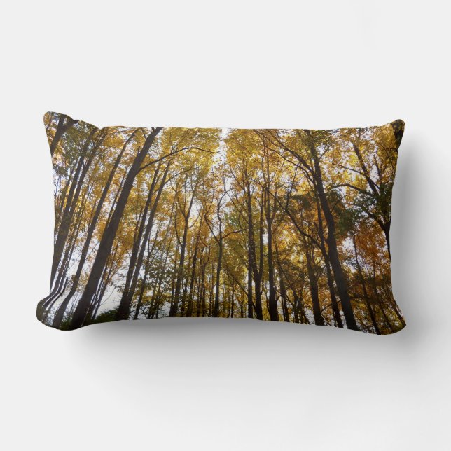 Der Herbst verlässt die Natur am Morgen Lendenkissen (Vorderseite)