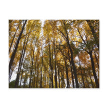 Der Herbst verlässt die Natur am Morgen