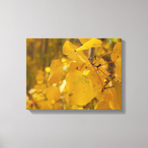 Der Herbstausgang der Unabhängigkeitspass Leinwanddruck