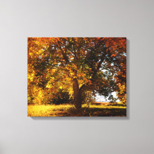 Der Herbstbaum Leinwanddruck
