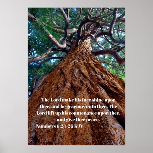 Der Herr lässt sein Gesicht glänzen und erheben Poster (Vorne)